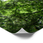 Tree Old Tree/Lalashan National Forest Sanctuary Poster (Ecke)