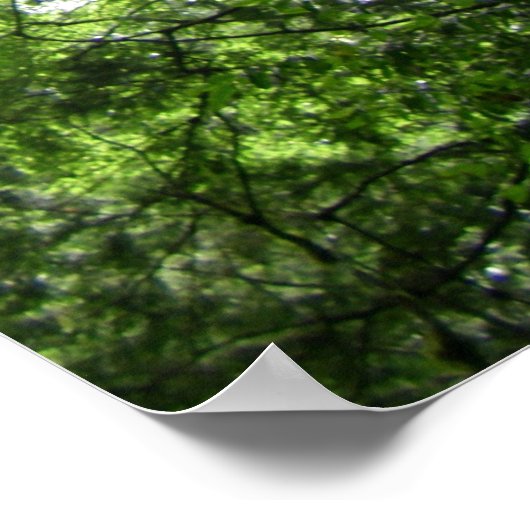 Tree Old Tree/Lalashan National Forest Sanctuary Poster (Ecke)