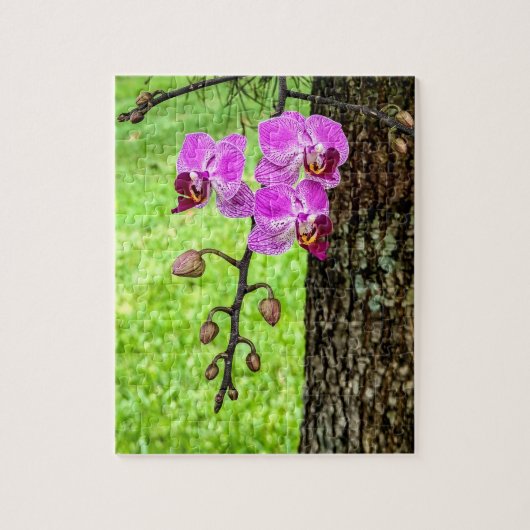 Tree Orchid in Bloom Puzzle (Vertikal)