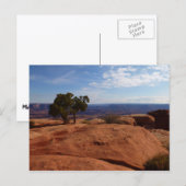 Tree Out of Red Rocks I in Canyonlands Postkarte (Vorne/Hinten)