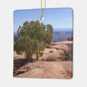 Tree Out of Red Rocks II at Canyonlands Keramikornament (Links)