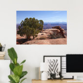 Tree Out of Red Rocks II at Canyonlands Poster (Heimbüro)