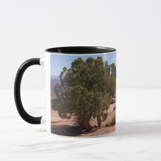 Tree Out of Red Rocks II at Canyonlands Tasse (Links)