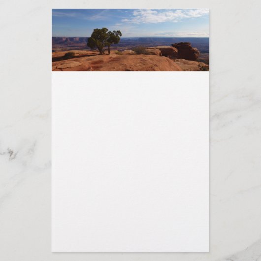 Tree Out of Red Rocks im Canyonlands National Park Briefpapier (Vorderseite)