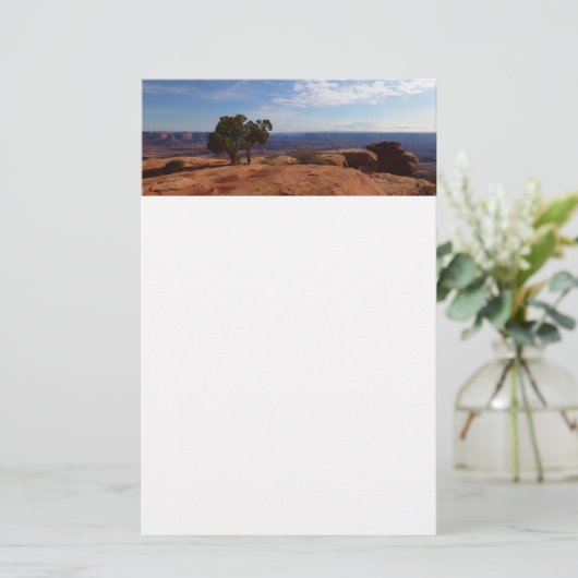 Tree Out of Red Rocks im Canyonlands National Park Briefpapier (Stehend Vorderseite)