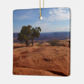 Tree Out of Red Rocks im Canyonlands National Park Keramikornament (Links)