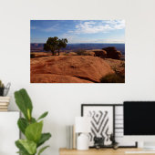 Tree Out of Red Rocks im Canyonlands National Park Poster (Heimbüro)