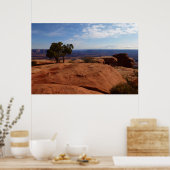 Tree Out of Red Rocks im Canyonlands National Park Poster (Küche)