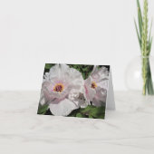 Tree Peonies (Vorderseite)