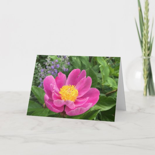 Tree Peony Blank Greeting Card Dankeskarte (Vorderseite)
