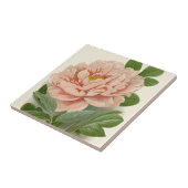 Tree Peony - Elegantes Vintages botanisches Design Fliese (Seite)