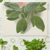 Tree Peony - Elegantes Vintages botanisches Design Geschirrtuch (Gefaltet)