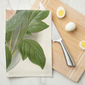 Tree Peony - Elegantes Vintages botanisches Design Geschirrtuch (Viertel Falte)