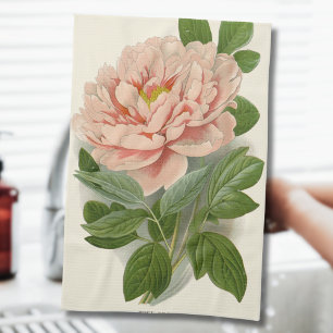 Tree Peony - Elegantes Vintages botanisches Design Geschirrtuch