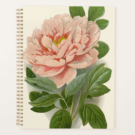 Tree Peony - Elegantes Vintages botanisches Design Planer (Vorderseite)