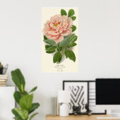 Tree Peony - Elegantes Vintages botanisches Design Poster (Heimbüro)