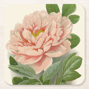 Tree Peony - Elegantes Vintages botanisches Design Rechteckiger Pappuntersetzer