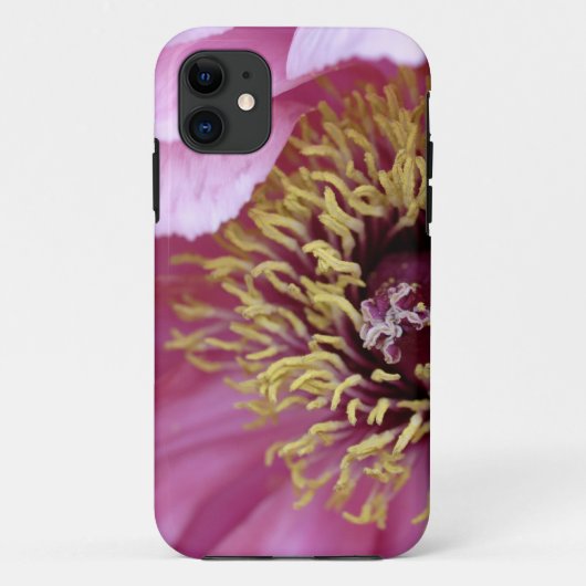 Tree Peony iPhone 5 Case-Mate Hülle (Rückseite)
