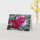 Tree Peony "Shimi Nishiki" Karte (Gelbe Blume)