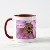 Tree Peony Tasse (Links)