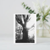 Tree Photography - Elanie Postkarte (Stehend Vorderseite)