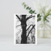 Tree Photography - Ilana Postkarte (Stehend Vorderseite)