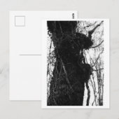 Tree Photography - Moriko Postkarte (Vorne/Hinten)