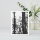 Tree Photography - Nikki Postkarte (Stehend Vorderseite)