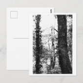 Tree Photography - Nikki Postkarte (Vorne/Hinten)