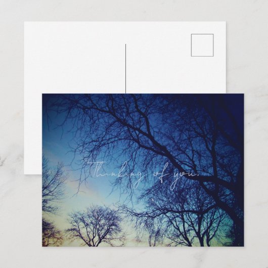 Tree Photography Postkarte (Vorne/Hinten)