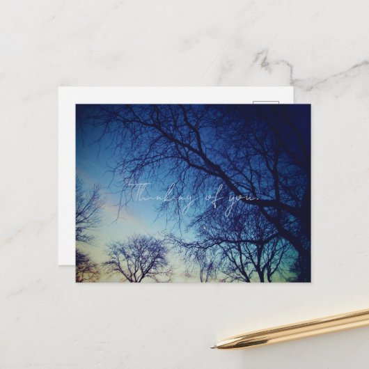 Tree Photography Postkarte (Vorderseite/Rückseite Beispiel)