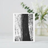 Tree Photography - Woody Postkarte (Stehend Vorderseite)