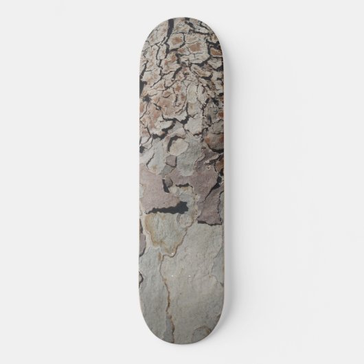 Tree Planet Four Skateboard (Vorderseite)