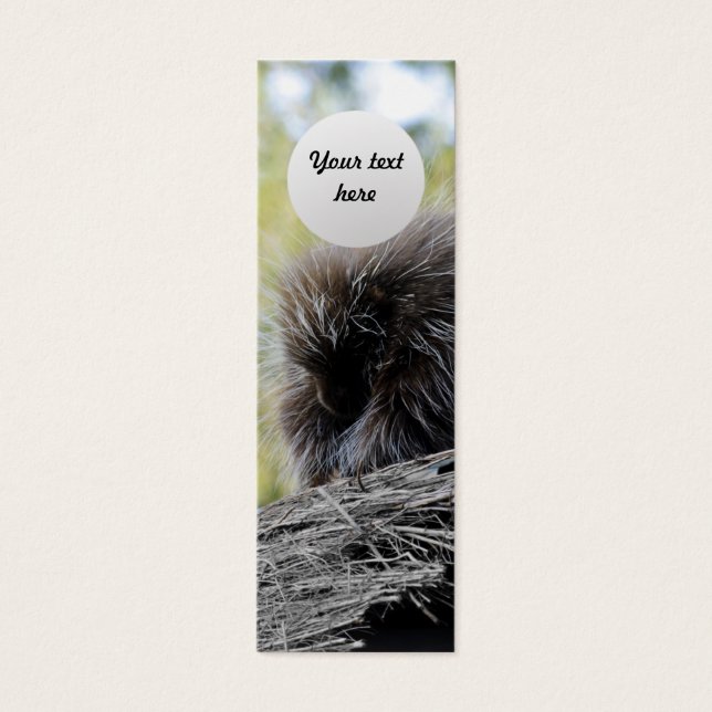Tree Porcupine (Vorderseite)
