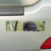 Tree Porcupine Autoaufkleber (Auf Auto)
