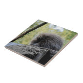 Tree Porcupine Fliese (Seite)