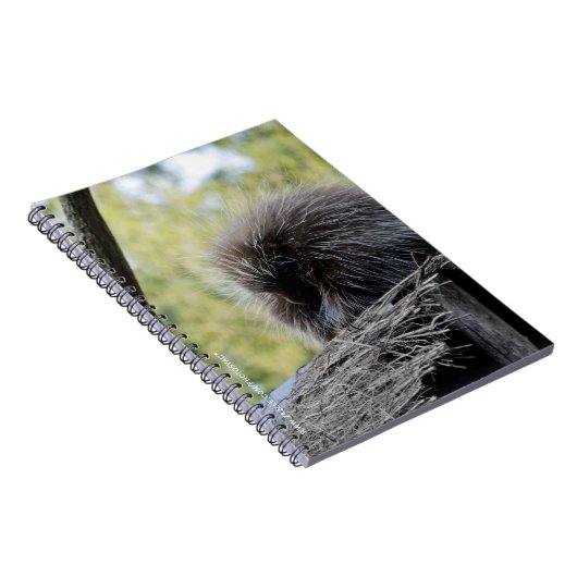 Tree Porcupine Notizblock (Rechte Seite)