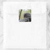 Tree Porcupine Quadratischer Aufkleber (Tasche)