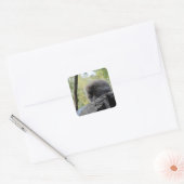 Tree Porcupine Quadratischer Aufkleber (Umschlag)