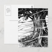 Tree Postcard Postkarte (Vorne/Hinten)