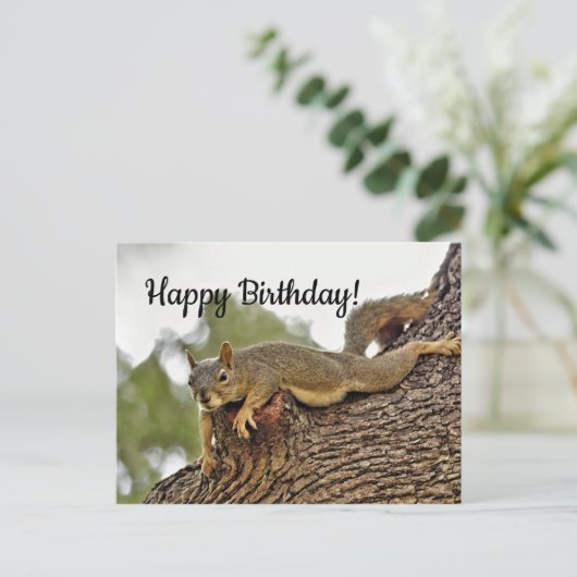 Tree Reclining Eichhörnchen Geburtstag Postkarte (Stehend Vorderseite)