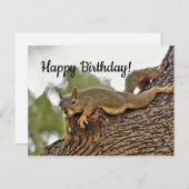 Tree Reclining Eichhörnchen Geburtstag Postkarte (Vorne/Hinten)