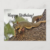 Tree Reclining Eichhörnchen Geburtstag Postkarte (Vorderseite)