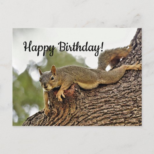 Tree Reclining Eichhörnchen Geburtstag Postkarte (Vorderseite)