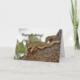 Tree Reclining Squirrel Birthday Card Dankeskarte