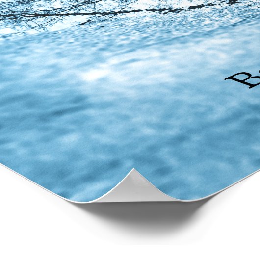 Tree Reflection Poster (Ecke)