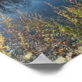 Tree Reflections Foto Poster (Ecke)