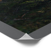 Tree Reflections Poster (Ecke)