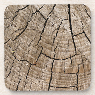 Tree Rings Untersetzer