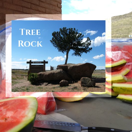 Tree Rock, Median of Interstate 80, Buford Wyoming Postkarte